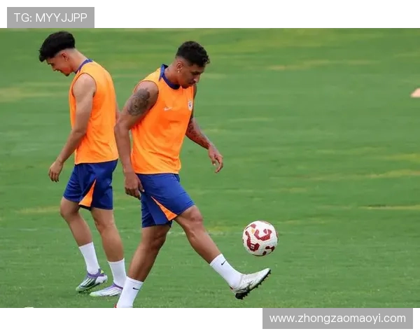 鲁媒称彭啸脚踝韧带受伤需休养两周后方能全面展开下一步治疗